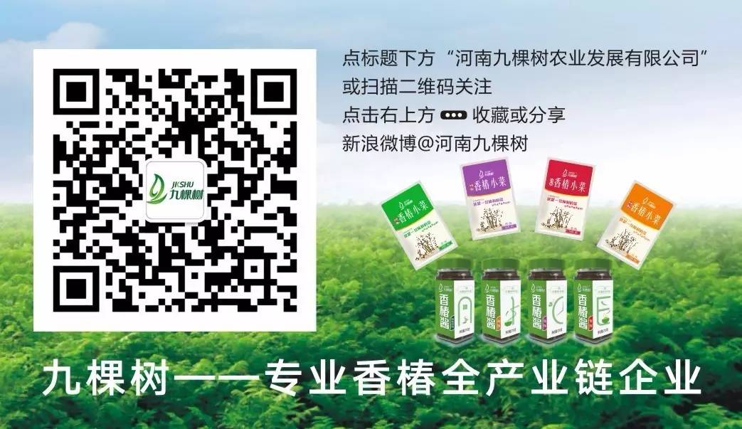 标志 九棵树 .jpg