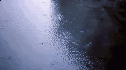 YuQH-fymesii5016611.gif