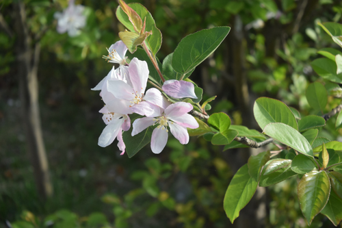 DSC_5057.JPG
