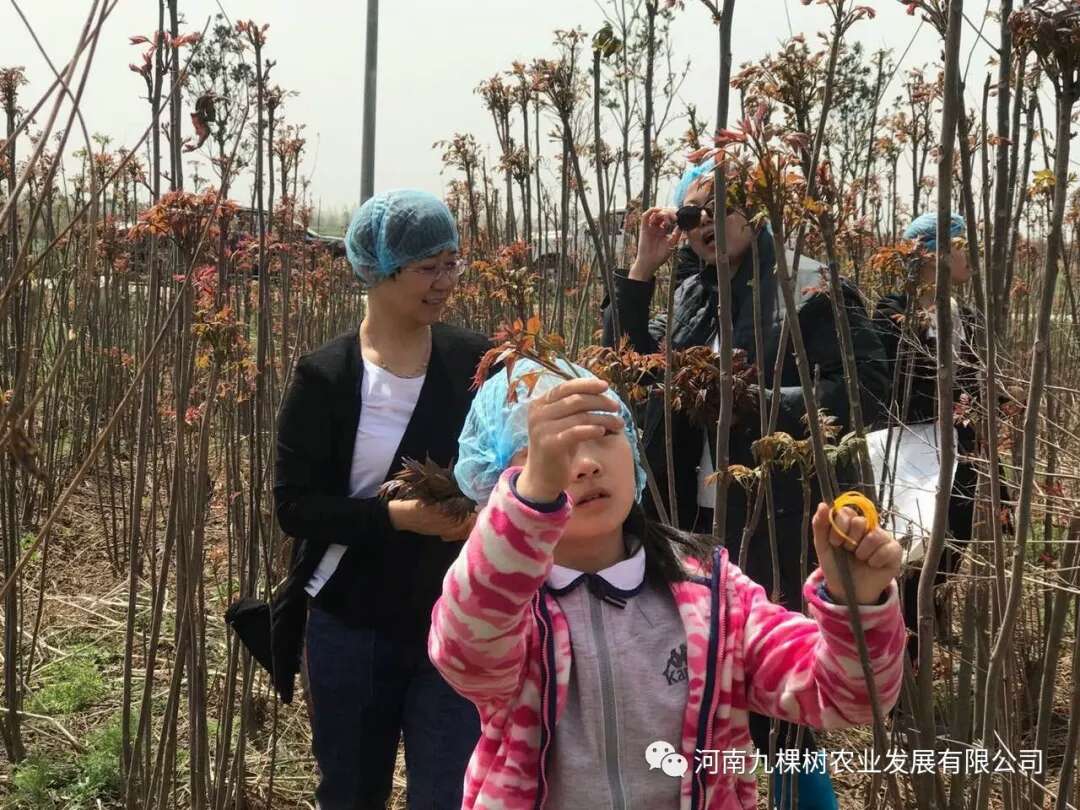 微信图片_20181022085117.jpg