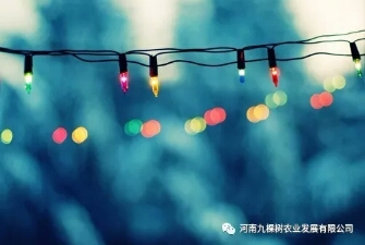 微信图片_20181022085105.jpg