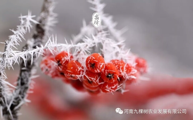 微信图片_20181022082949.jpg