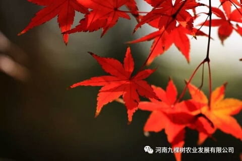 微信图片_20181022082946.jpg