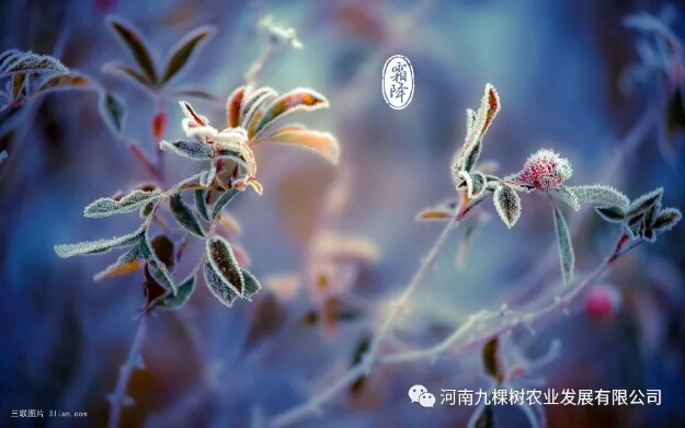 微信图片_20181022082937.jpg