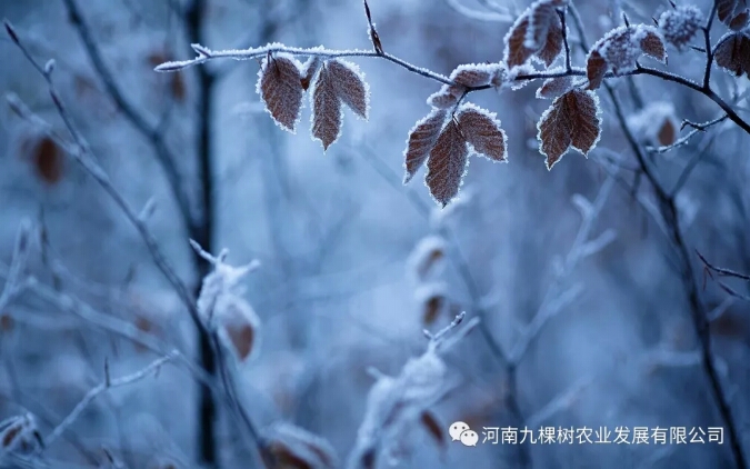 微信图片_20181022082942.jpg