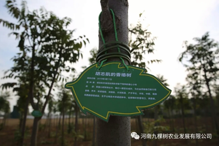 微信图片_20181022085111.jpg