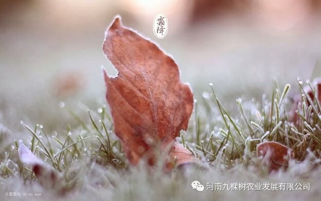 微信图片_20181022082956.jpg