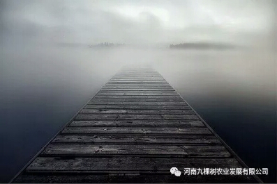 微信图片_20181022085054.jpg