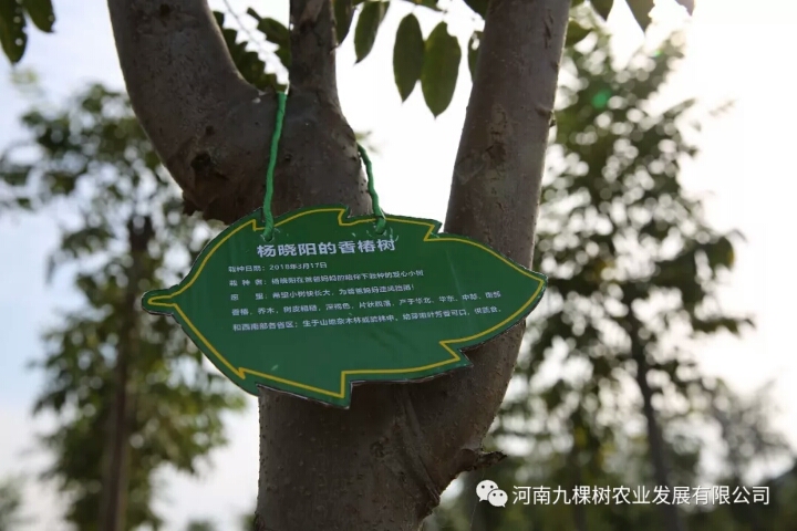微信图片_20181022085114.jpg