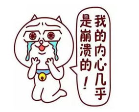 2345_image_file_copy_1.jpg