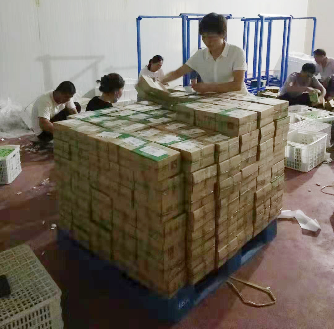 微信图片_20190906144555.jpg