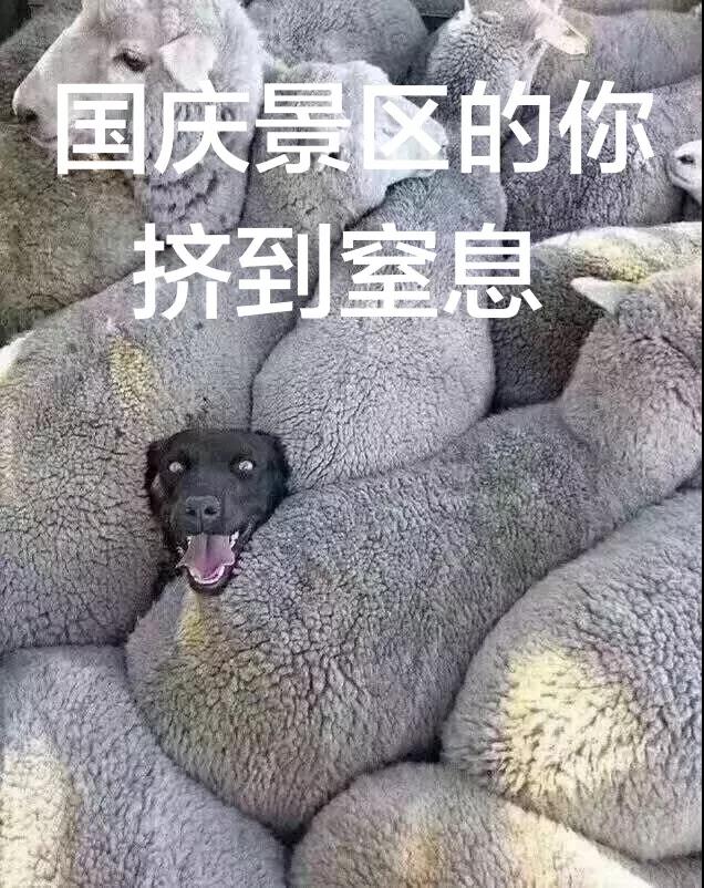 微信图片_20190928144032.jpg