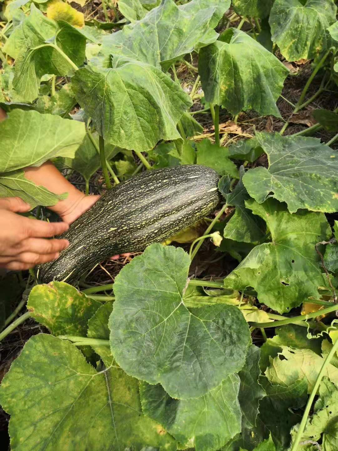 微信图片_20191102153427.jpg