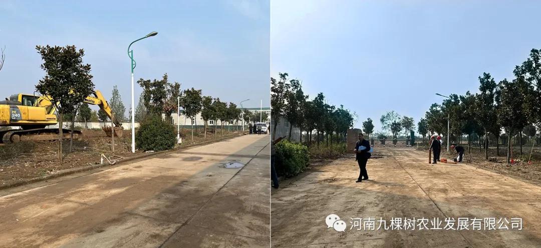微信图片_20211026081555.jpg