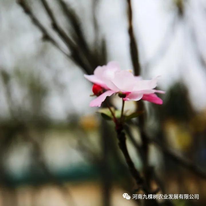 微信图片_20211108164228.jpg