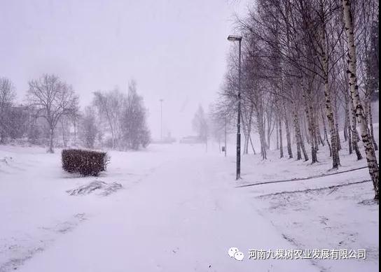 微信图片_20211115182607.jpg