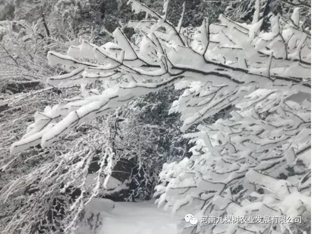 微信图片_20211115182623.jpg