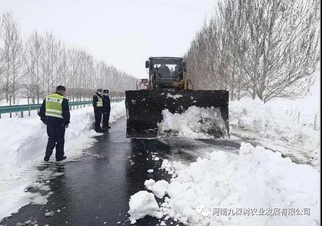 微信图片_20211115182632.jpg