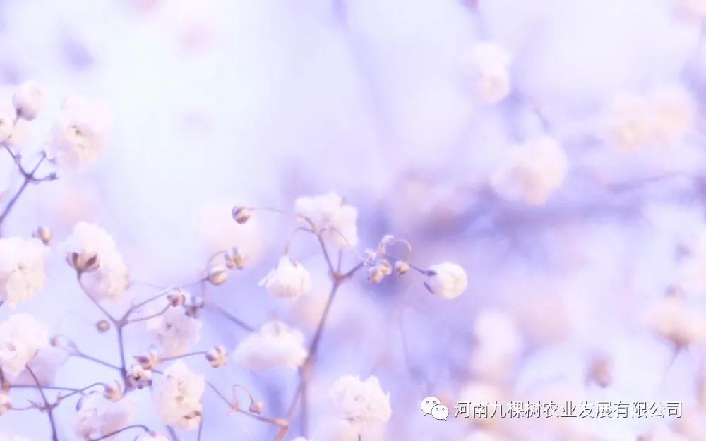 微信图片_20211129160414.jpg