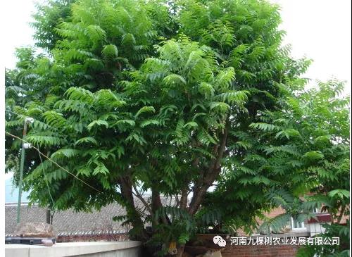 微信图片_20211206095304.jpg