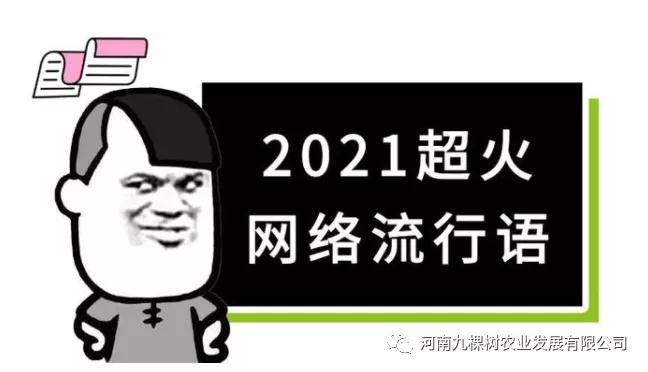 微信图片_20211214165848.jpg