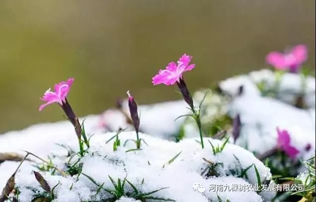 微信图片_20220221093634.jpg