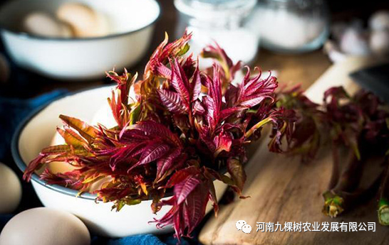微信图片_20220504082332.png