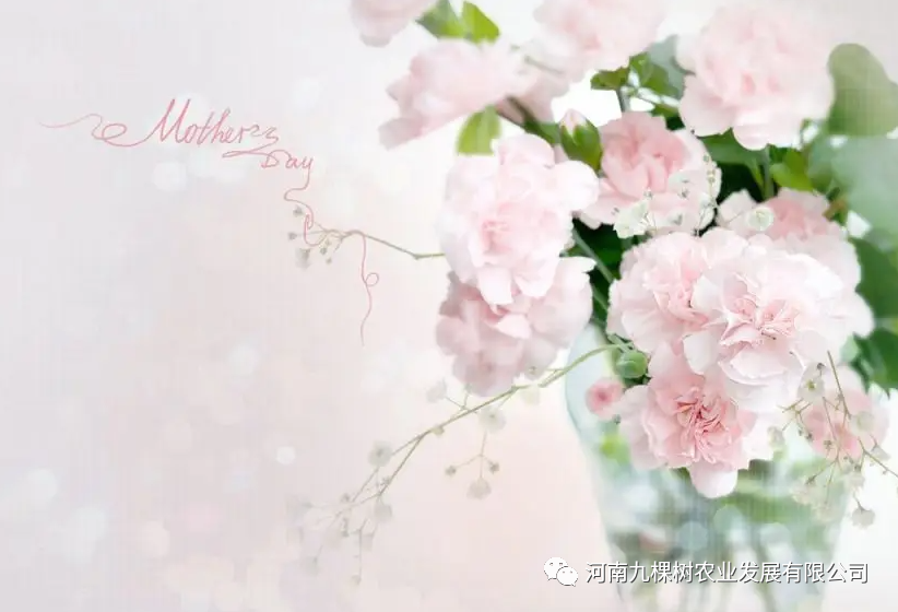 微信图片_20220508091604.png 微信图片_20220508091604.png