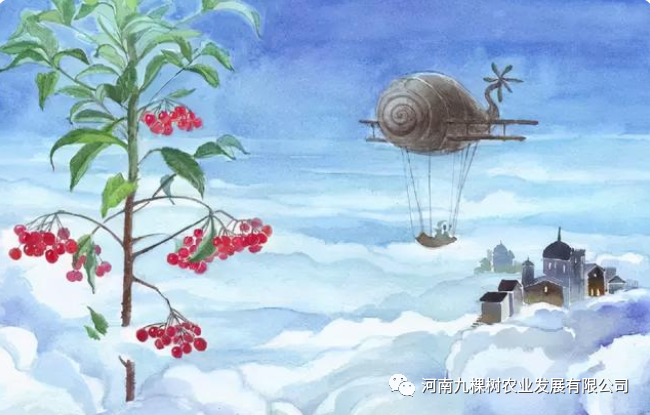 微信图片_20220606143450.png