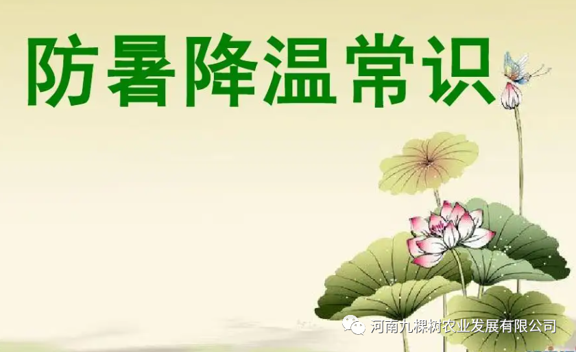 微信图片_20220606105616.png