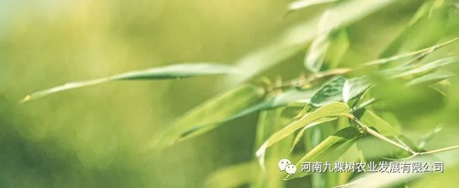 微信图片_20220606142905.jpg