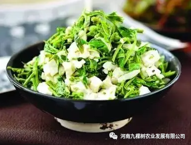 微信图片_20220606143251.png