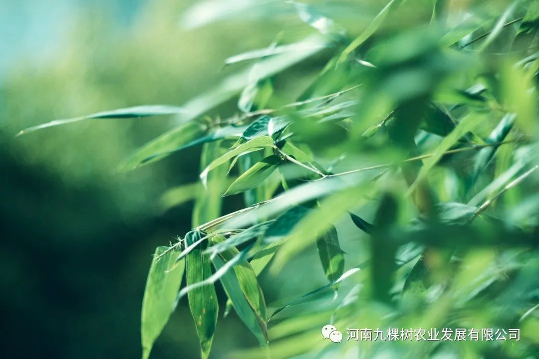 微信图片_20220606143809.jpg